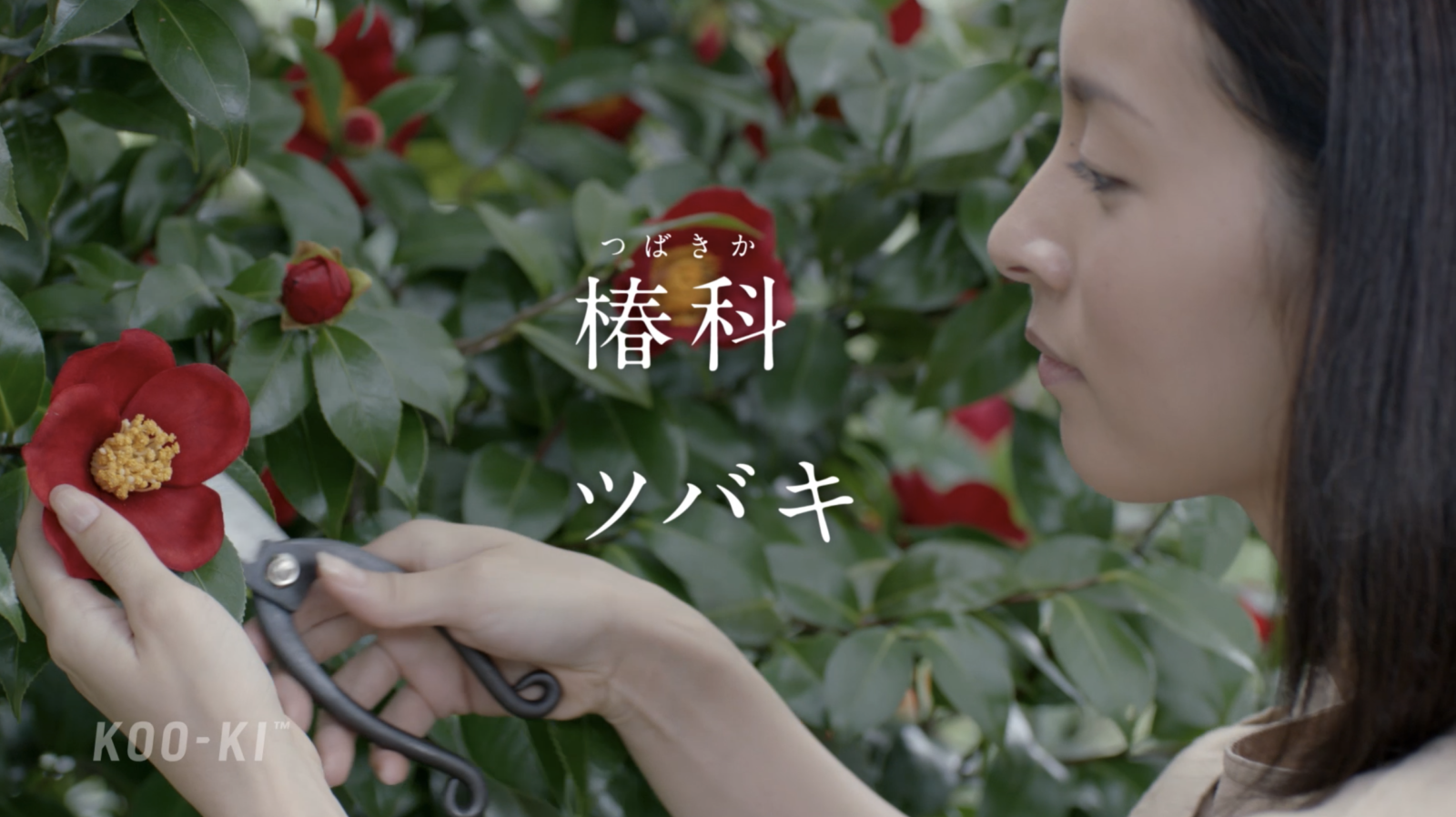 BXE rinRen 凜恋 ｢日本の幸で、髪を洗おう。｣篇 | KOO-KI 空気 - 映像
